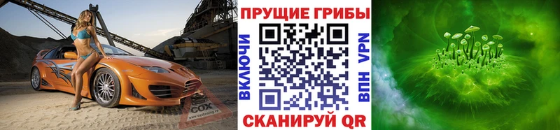 Галлюциногенные грибы прущие грибы  Усолье 